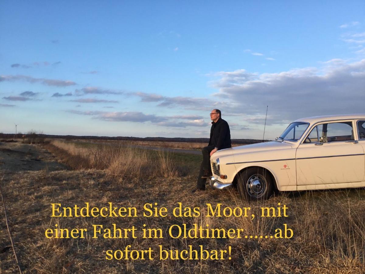 Kranich-Holzferienhaus 'Kleine Auszeit' Rehden Extérieur photo