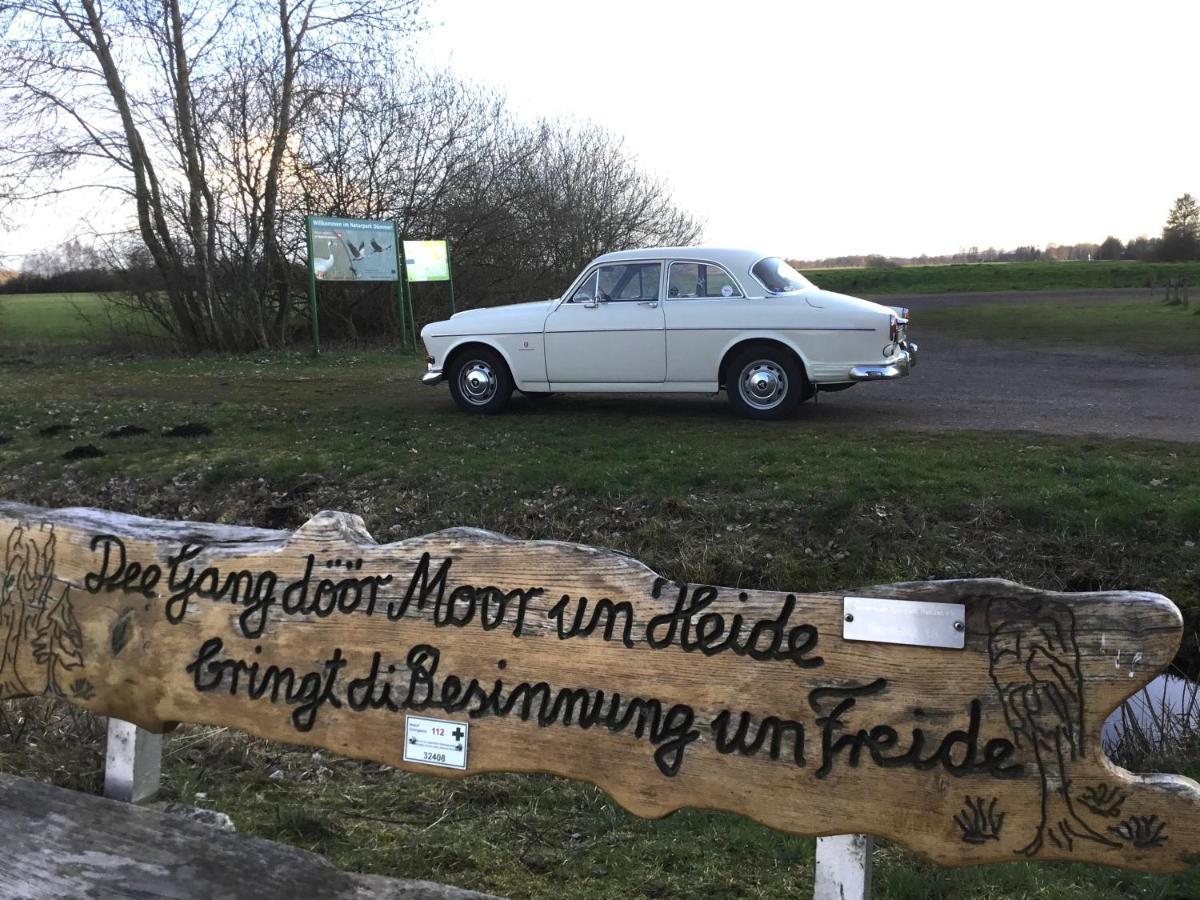 Kranich-Holzferienhaus 'Kleine Auszeit' Rehden Extérieur photo